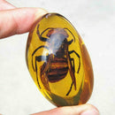 Beautiful Amber Hornet Fossil Insects Manual Polishing Decor O8N5