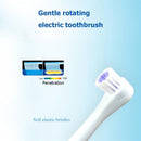 Automatic Ultrasonic Electric Toothbrush Waterproof Tooth Brush (Purple) Newly