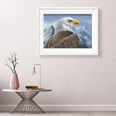 5D DIY Full Drill Diamond Painting Eagle Cross Stitch Embroidery (C1201)