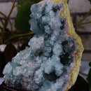 Madagascar Celestite Crystal druzy cluster sky Blue Geode x 1 Pc Mineral Y0F7