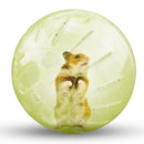 Solid Rodent Jogging Ball Gerbil Hamster Fitness Portable Rolling Ball Play T