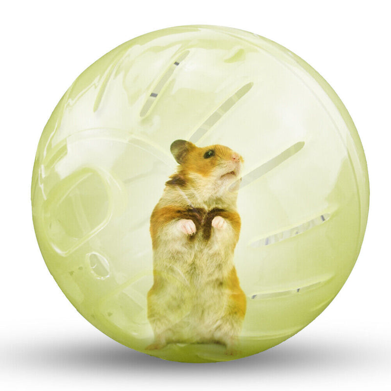 Solid Rodent Jogging Ball Gerbil Hamster Fitness Portable Rolling Ball Play T