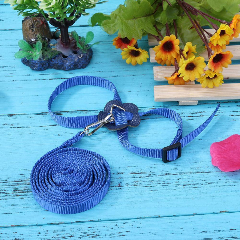 Parrot Leash Adjustable Harness Bird Anti Fly Outdoor Training Rope (Blue) Newly