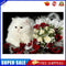 5D DIY Diamond Painting Cat Cross Stitch Embroidery Craft Kits Wall Art Set