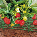 Strawberry Stand Balcony Vegetables Fruit Climbing Pillar Gardening Bracket