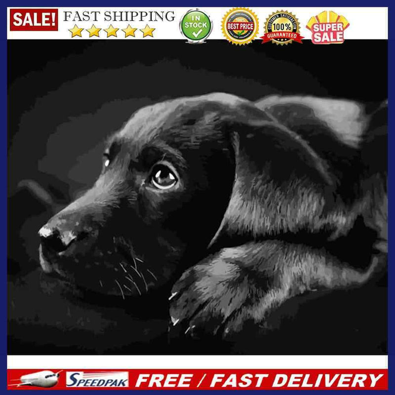 Animals on Earth Paint By Numbers DIY Set Canvas Oil Painting Drawing No Fram