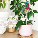 2x DIY Diamond Painting Plant Pot Plant Decor Stick Home Ornaments (HBJ17) Newly