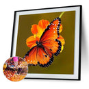 5D DIY animal butterfly full circle diamond painting diamond E755
