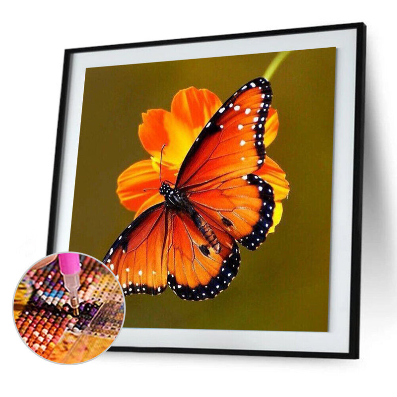 5D DIY animal butterfly full circle diamond painting diamond E755