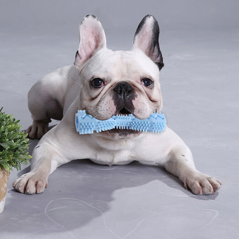 Dog Toys Toothbrush TPR Chew Teeth Cleaning Pet Molar Brushing Stick (Blue)