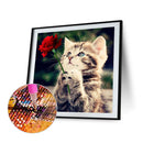 5D DIY Diamond Painting Kits Full Round Drill Cat Rose Mosaic Picture (E1746)