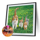 5D DIY Full Drill Diamond Painting Cats Family Cross Stitch Embroidery Kits