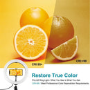 Ring Light LED Video Light Kit Tripod Stand 10.2 inch 26cm For Tik Tok Youtube