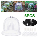 #A 6pcs Greenhouse Garden Plant Bell Cover Frost Guard Anti Freeze Protection Do