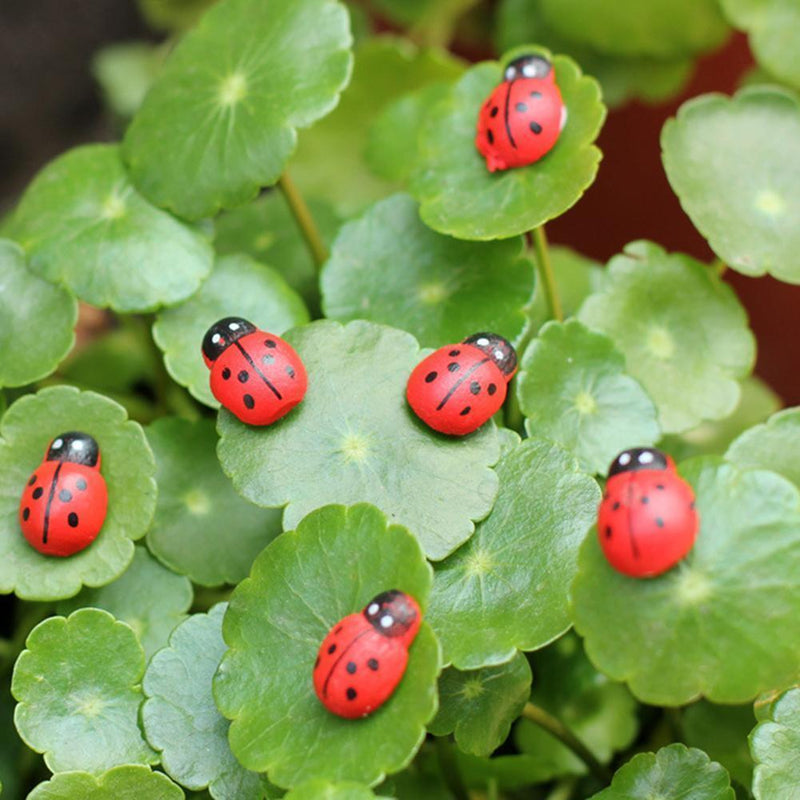 100x Mixed Ladybird Mini Self Adhesive Wooden Ladybugs Craft Card Wood Top hot.