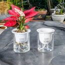 Plants Automatic Water Absorption Hydroponic Self-watering Flowerpot Flower Pot