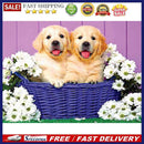5D DIY Diamond Painting Dogs in Basket Full Drill Animal Cross Stitch Home De