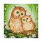 Full Drill Two Owls 5D Diamond DIY Painting Craft Kit Home Decor Newly