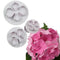 3Pcs / Set Hydrangea Fondant Cake Decorating Sugarcraft Cookie Cutters F7B1