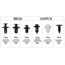 100 in 1 Universal Car Clips Auto Rivets Fasteners Assortment + 6 inch Remover