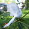 White Foam Artificial Feather Wings Simulation Pigeon Wedding Decor Spread