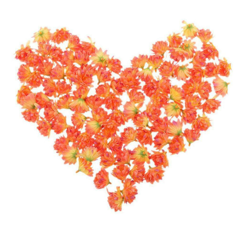 Small Star Dried Flower Head Daizy DIY Nail Art Filling Decor Hand Craft I6A1