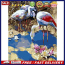 Painting By Numbers DIY Drinking Crane Hand Painted Digital Oil Picture Decor