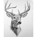 Deer Oil Paint By Numbers Kit DIY Acrylic Painting on Canvas Frameless Drawing