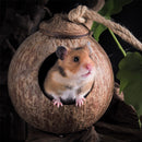 Bird Nest Squirrel Feeder Warm House with Hanging Ladder Parakeet Coconut Shell