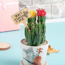 50x Wooden T-Shape Plant Labels Seed Potted Herbs Flowers Sign Tags Sticks Newly