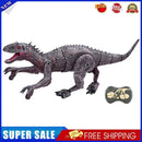 #A Remote Control Dinosaur 8 Channels 2.4GHz Simulation Electronic Educational T