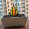 Artificial Agave Potted Plant Ornament Yard Art Home Garden Decor (TYU014B)