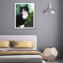 DIY Diamond Painting Kits Kitten Full Round Drill Wall Art Craft Home Decor