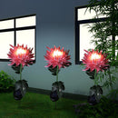 2pcs LED Solar Light Chrysanthemum Lawn Stake Lamps Garden Decor (Pink)
