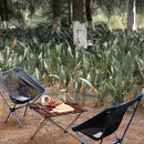 Detachable Lantern Stand Pole Outdoor Camping Light Hanger Holder (Walnut)