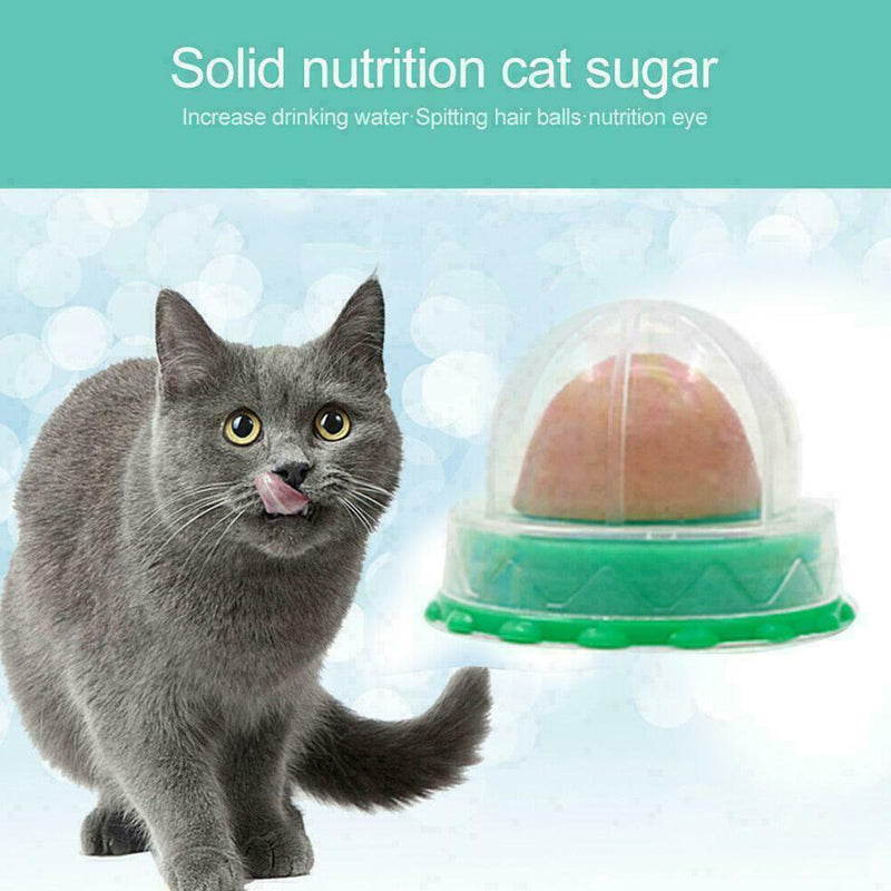 Cat Catnip Candy Energy Ball Snacks Licking Healthy Hot Kitten Sale Q9H3