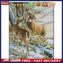 Cross Stitch Embroidery Kit DIY Needlework Handmade Cloth Canvas Drawing Gi