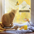House Clear Window Viewing Bird Feeder Triangular Suction Cup Bird Feeder
