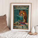11CT Counted Full Cross Stitch DIY Owl Book Hand Painting Living Room Decoration