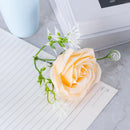 Preserved Single Rose Soap Flower Gift Box Valentines Day Gifts (Champagne)