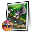5D DIY Diamond Painting Kits Full Round Drill Playing Cat Mosaic Home Decorat
