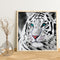 5D DIY Round Drill Diamond Painting White Tiger Kit Rhinestone Drawing Ornaments
