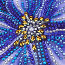 DIY Special Shaped Diamond Painting Butterfly Cross Stitch Mosaic (DZ223) Newly