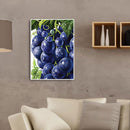 5D Diamond Painting DIY Grape Full Round Drill Mosaic Decoration (E1241)