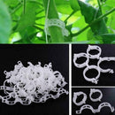 Tomato Veggie Garden Plant Support Clips For Trellis Twine S4F4 hot.