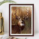 5D Full Round Drill Diamond Painting Kit Deer Animal Art Decor for Adults