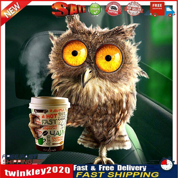 Full Round Drill Mosaic Craft 5D DIY Funny Owl Rhinestone Diamond Painting Newly