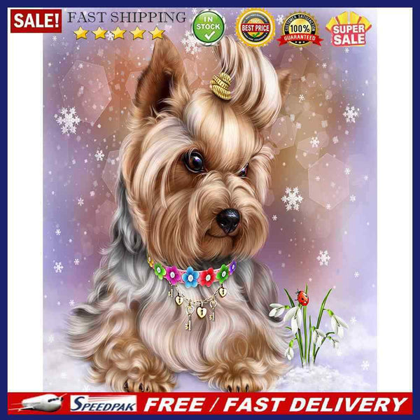 Oil Paint By Numbers Dog And Cat Coloring Picture Digital Drawing