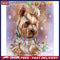 Oil Paint By Numbers Dog And Cat Coloring Picture Digital Drawing