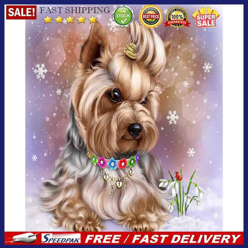 Oil Paint By Numbers Dog And Cat Coloring Picture Digital Drawing